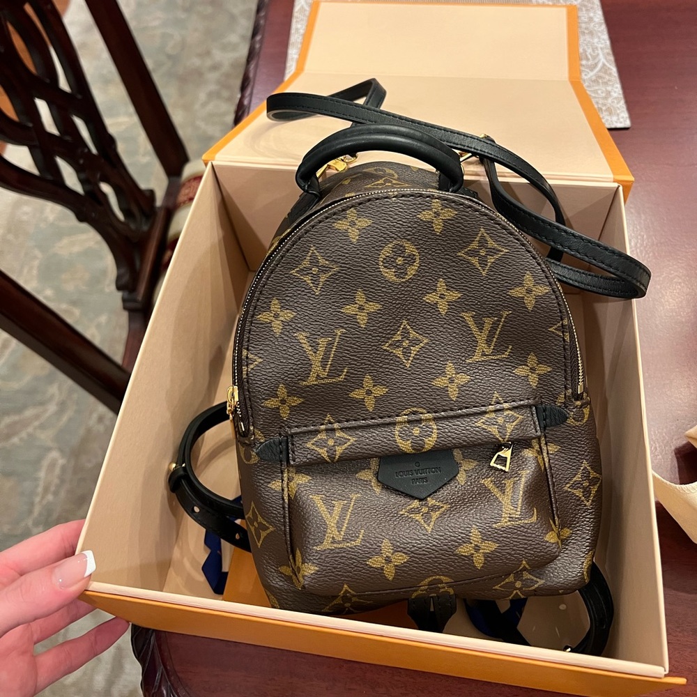 Sold- Louis Vuitton Palm Springs Mini Backpack